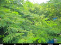 Jul 14 2025 15:00:32, #01
