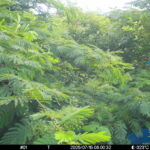 Jul 15 2025  6:00:32, #01