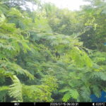Jul 15 2025  9:00:31, #01