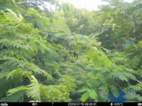 Jul 15 2025  9:00:31, #01