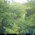 Jul 15 2025 12:00:32, #01