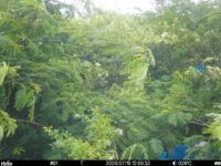 Jul 15 2025 12:00:32, #01