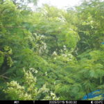 Jul 15 2025 15:00:32, #01