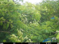 Jul 15 2025 15:00:32, #01
