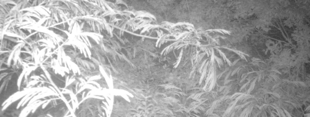 Jul 15 2025 21:00:32, #01