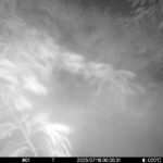 Jul 16 2025  0:00:31, #01