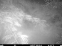 Jul 16 2025  0:00:31, #01
