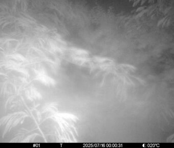 Jul 16 2025  0:00:31, #01