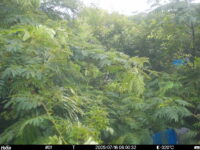 Jul 16 2025  6:00:32, #01