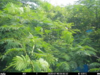 Jul 16 2025  9:00:31, #01