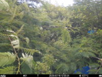Jul 16 2025 12:00:31, #01