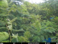 Jul 16 2025 15:00:31, #01