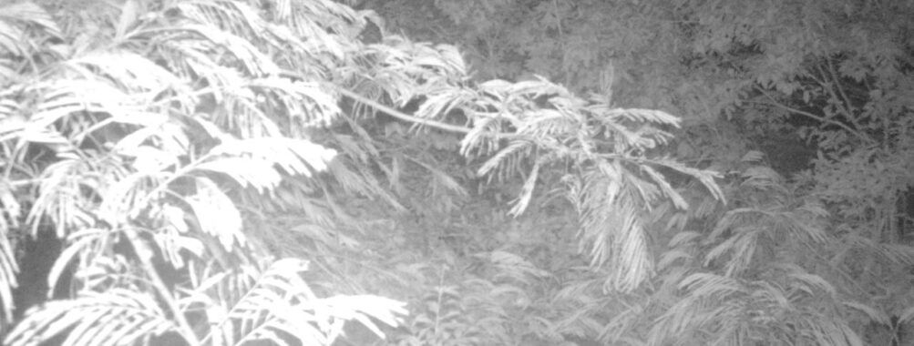 Jul 17 2025  3:00:30, #01