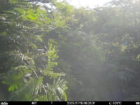 Jul 18 2025  6:00:31, #01