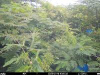 Jul 18 2025 15:00:32, #01