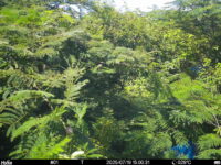 Jul 19 2025 15:00:31, #01