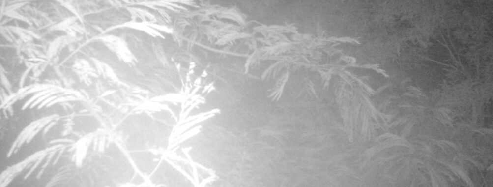 Jul 20 2025  0:00:31, #01