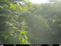 Jul 20 2025  6:00:31, #01