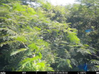 Jul 20 2025  9:00:31, #01