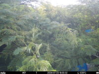 Jul 20 2025 18:00:31, #01