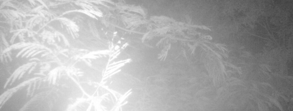Jul 21 2025  0:00:31, #01