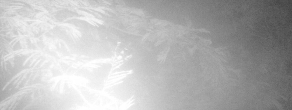 Jul 21 2025  3:00:30, #01
