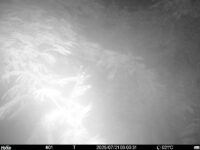 Jul 21 2025  3:00:30, #01
