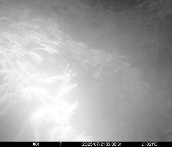 Jul 21 2025  3:00:30, #01