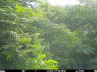 Jul 21 2025  6:00:31, #01