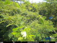 Jul 21 2025 12:00:31, #01