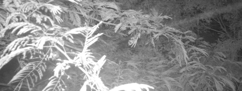 Jul 21 2025 21:00:32, #01