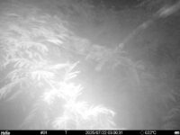 Jul 22 2025  3:00:31, #01