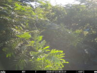 Jul 22 2025  6:00:31, #01