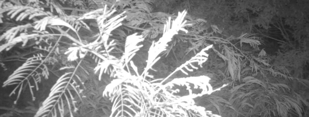 Jul 23 2025 21:00:31, #01