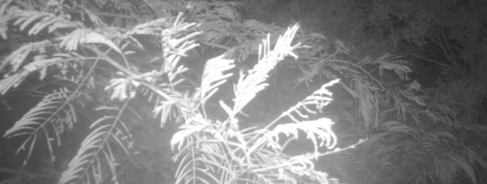 Jul 24 2025  0:00:30, #01