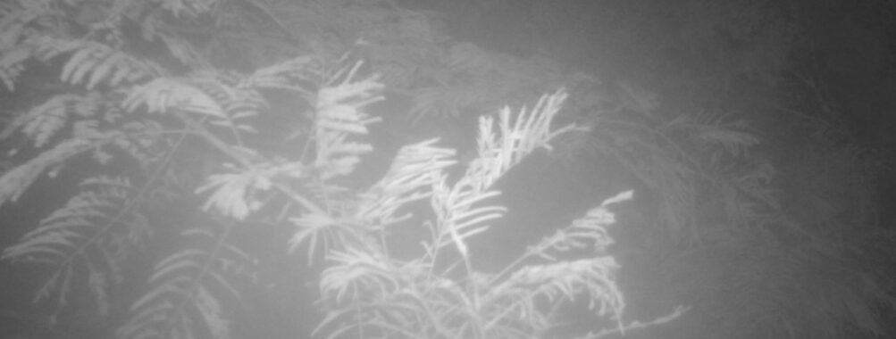 Jul 24 2025  3:00:32, #01