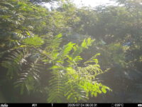 Jul 24 2025  6:00:31, #01
