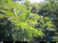 Jul 24 2025  9:00:32, #01
