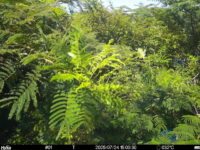 Jul 24 2025 15:00:30, #01
