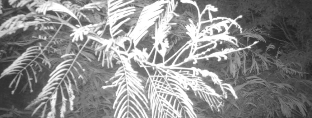 Jul 24 2025 21:00:31, #01