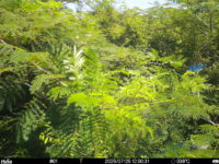 Jul 25 2025 12:00:31, #01