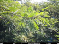 Jul 26 2025  9:00:32, #01