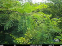 Jul 26 2025 12:00:31, #01