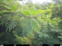 Jul 27 2025  6:00:31, #01