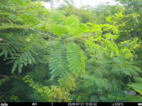 Jul 27 2025 12:00:31, #01