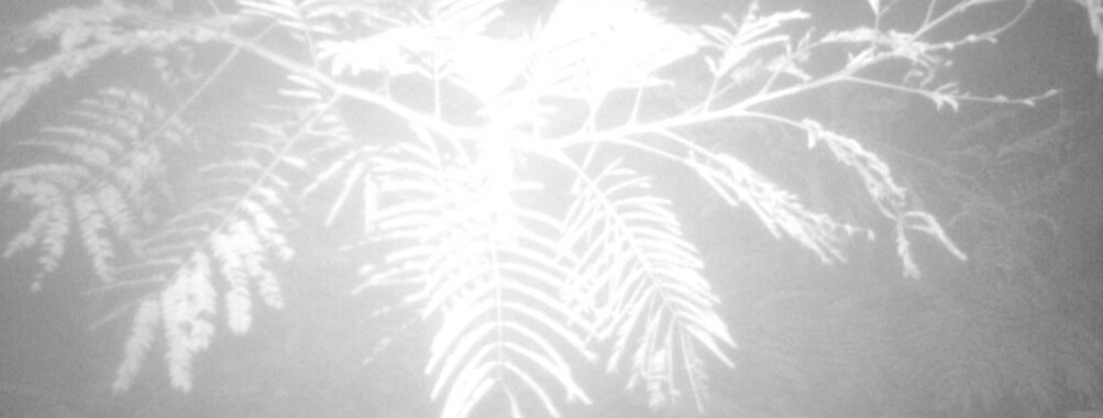 Jul 28 2025  3:00:31, #01