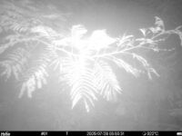 Jul 28 2025  3:00:31, #01