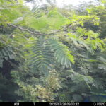 Jul 28 2025  9:00:32, #01