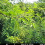 Jul 28 2025 12:00:31, #01