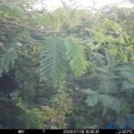 Jul 28 2025 18:00:31, #01